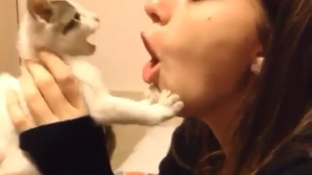 Your Mouth stinks