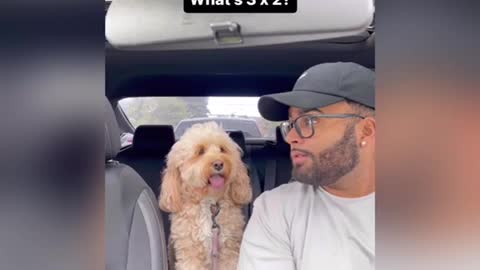 SuperEasy Ways To Learn Everything About SMART DOG