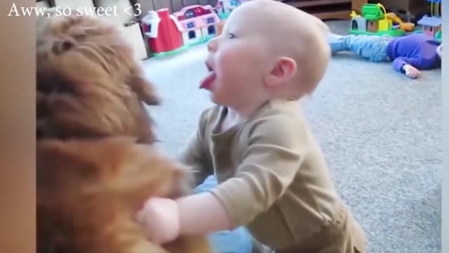 Dogs are the best friend of Babies 12