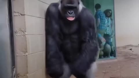 Funny fect 😇🤣🤣