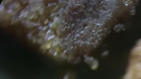 Cookies magnified by 400 times under a microscope are#microscope