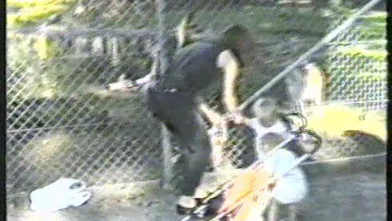 Karslundsparken i Landskrona 26 Aug. 1990 med Jimmy ,Mattias, Rolf och Annika del 1