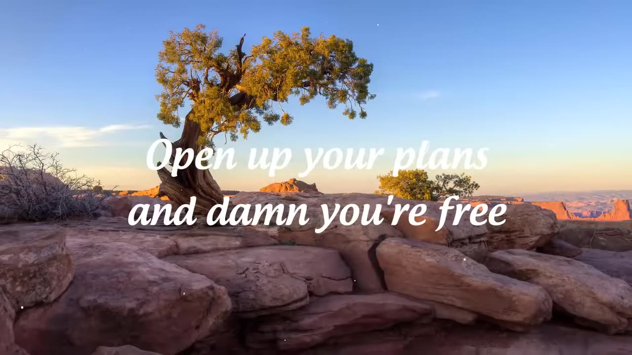 JASON MRAZ - I'm Yours (Lyrics Video)