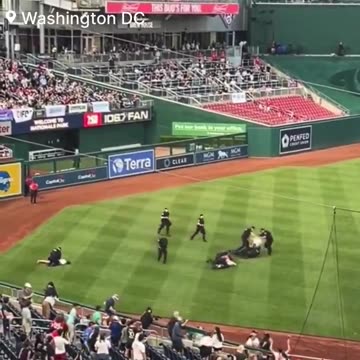 Climate Cultists Rush Field at Congressional Baseball Game for Their Boogeyman Gods