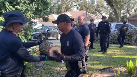 How many CBP Officers does it take to throw a log onto a pile?