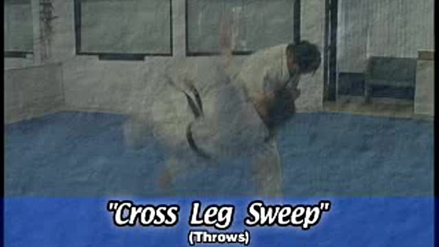 Hapkido