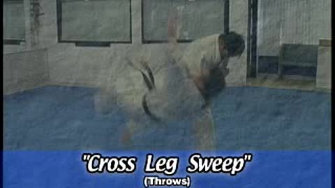 Hapkido