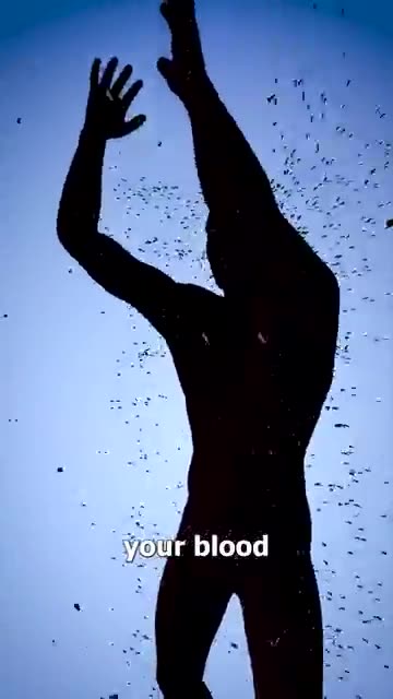 How Many Mosquitos To Suck All Your Blood? 😨