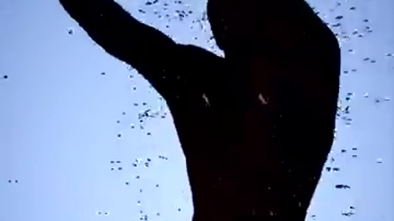 How Many Mosquitos To Suck All Your Blood? 😨