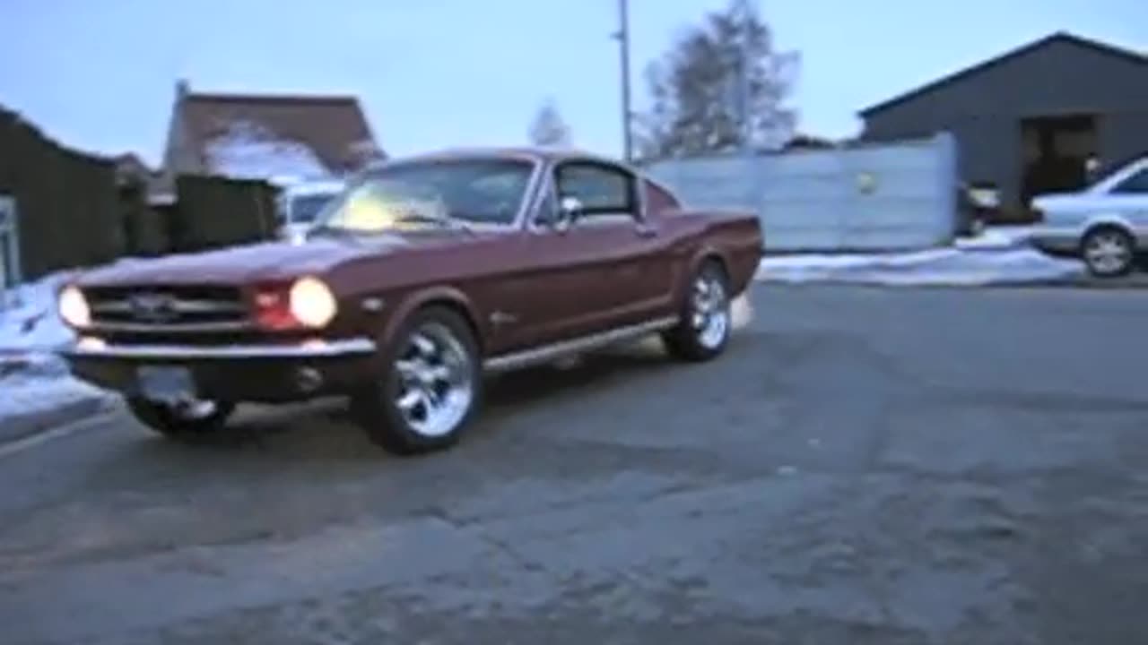 1965 Ford Mustang Fastback 289 V8 Imported Into France Homologation Europe Imports