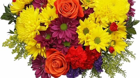 Red Roses- 50 Fresh Cut Flowers- Beautiful Gift https://amzn.to/3tyqlwY
