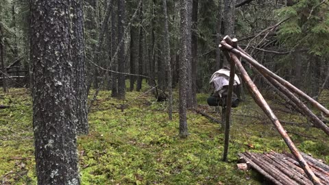 Winter Bushcraft Shelter Build - Overnight Camping, Raised Bed, Natural Shelter, Fire Reflector