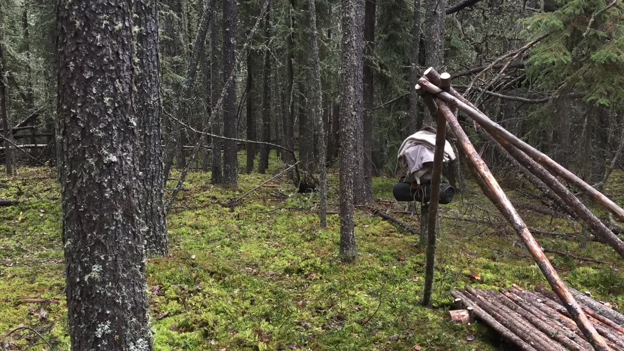 Winter Bushcraft Shelter Build - Overnight Camping, Raised Bed, Natural Shelter, Fire Reflector