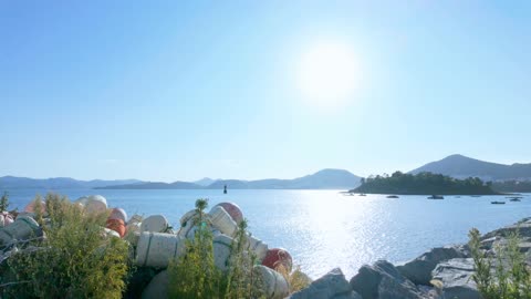 Sunlit Coastal Scene with Swaying Wild Grass and Distant Mountains