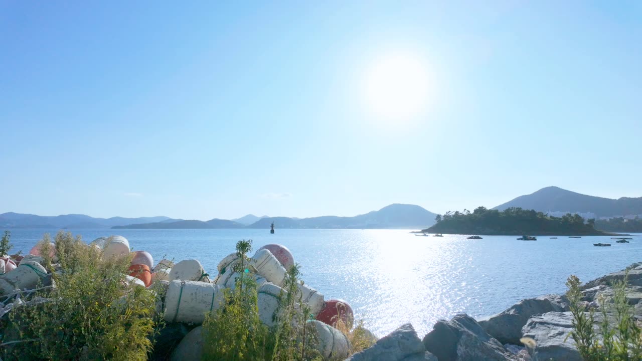 Sunlit Coastal Scene with Swaying Wild Grass and Distant Mountains