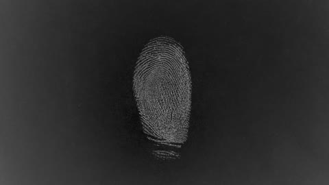 Election MASTER CLASS on Forensic Quadits