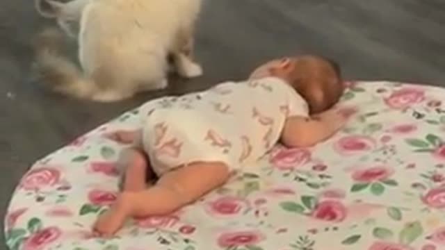 Little one, look what a cute baby you've brought
