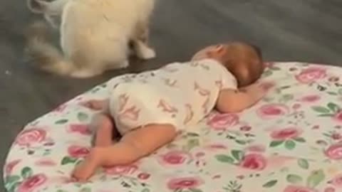 Little one, look what a cute baby you've brought