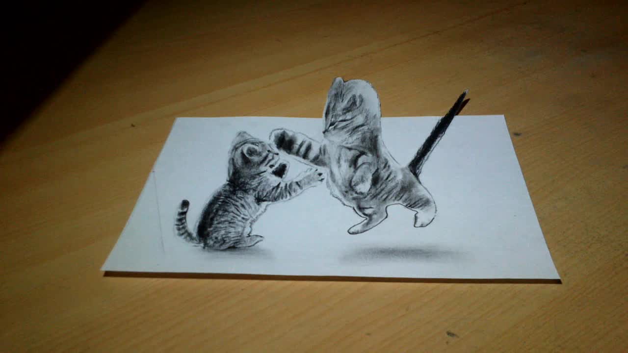 Anamorphic Illusion 3D : Crazy cats drawing
