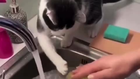 Every little help