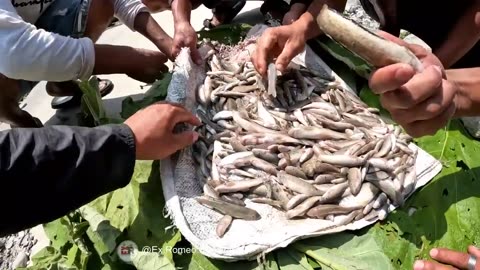 Fishing in Himalaya || Traditional method