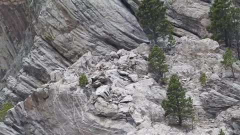 The original forest on flat earth part 5, Mount Rushmore