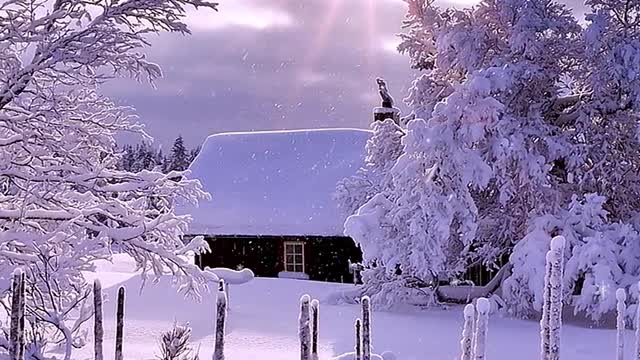 If you had to choose to watch the snow together, who would you bring with you?
