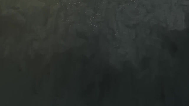 The sea
