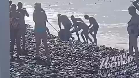 Sea mine washes up on the shore