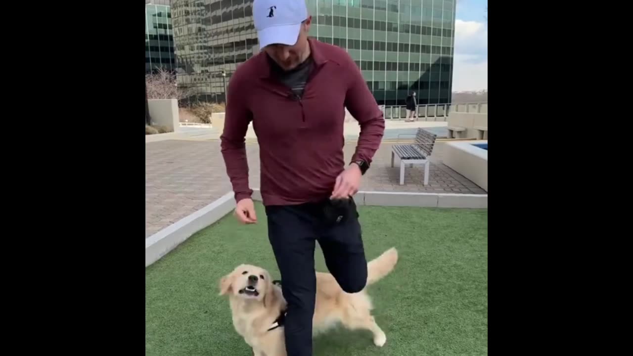 Trick training to build a bond with your dog πππΆπΆ i