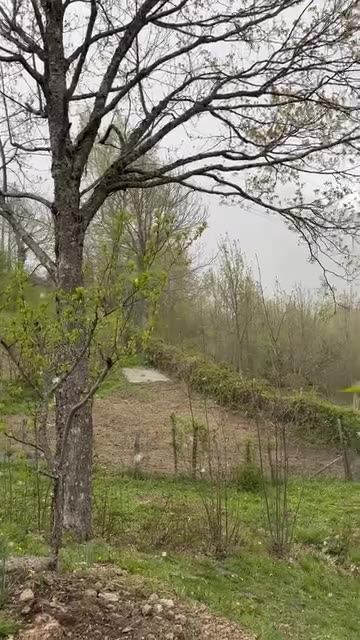 Pazzo Aprile. Improvvisa autentica bufera.