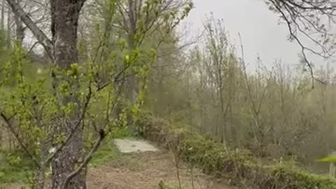 Pazzo Aprile. Improvvisa autentica bufera.