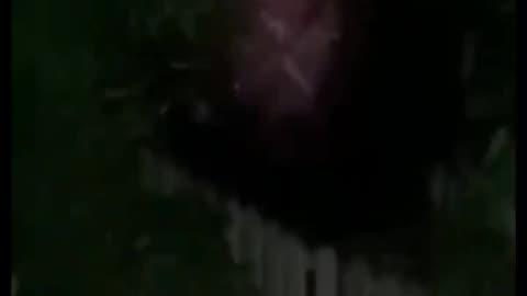 Scary creature 😱