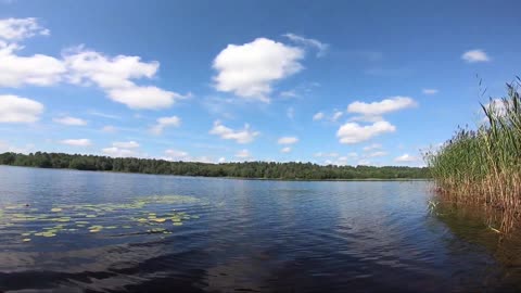 Great View
