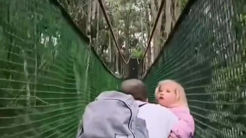 Monkey Mayhem: Tourist’s Frightful Encounter!