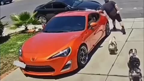 Funny Fails Continued