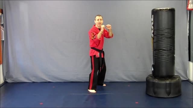 Basic Skillz Green Belt - Green Stripe