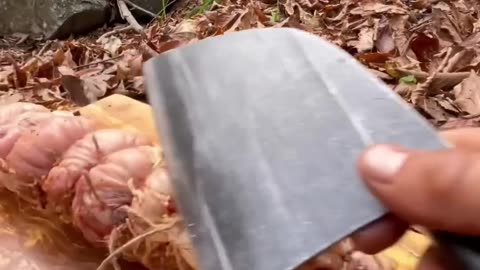 Amazing skills Cooking