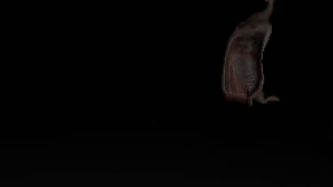 Go to Bed Horror Indie Game (Good Ending) Gameplay