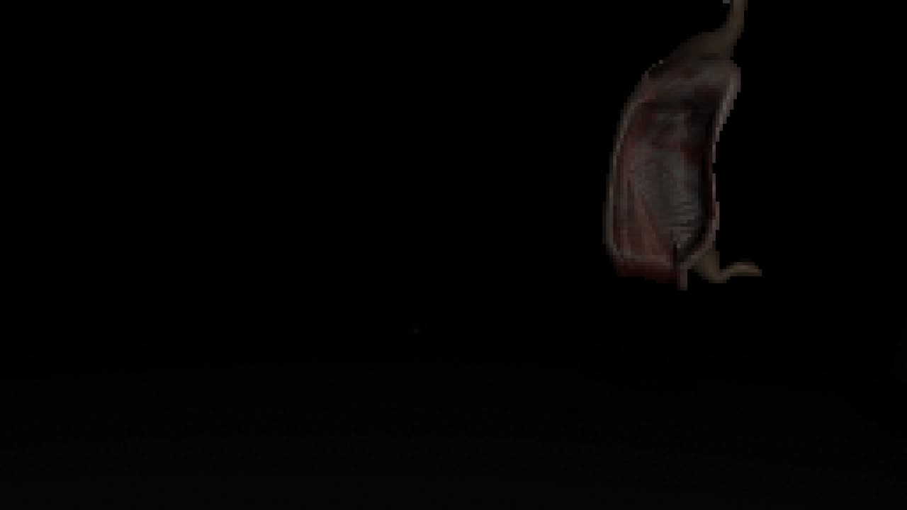 Go to Bed Horror Indie Game (Good Ending) Gameplay