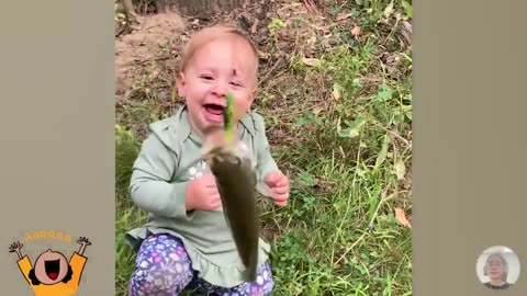 funny animal videos