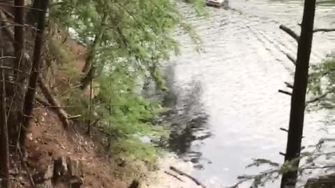 Rope swing guy falls directly into bank