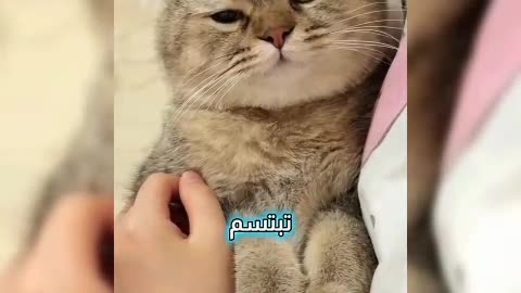Enjoy the sound of music in the middle of the beautiful nature 👌🏻🥝🐈