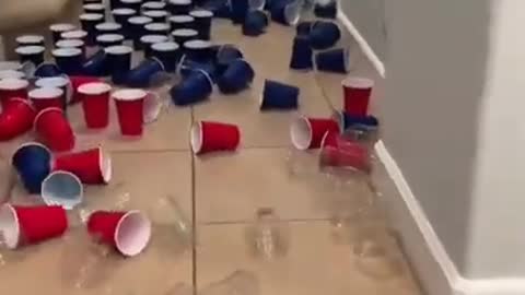 😂 OMG 😂Cute Cats Doing Funny Things 😍 Funniest Cats Video 😍 Cute Cats