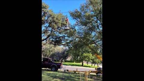 FS Tree Services