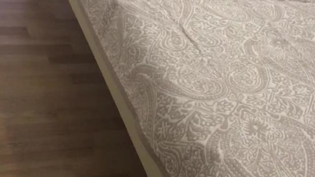 Blanket for bed.
