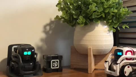 Vector teaches Cozmo how to charge himself #vector #vectorrobot #cozmo #cozmorobot #ddl