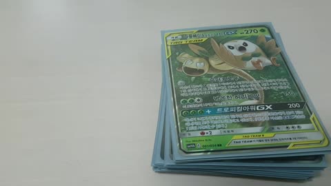 [포켓몬 카드] 내가 아끼는 소장 포켓몬 카드 일부 (My PokeMon Cards)