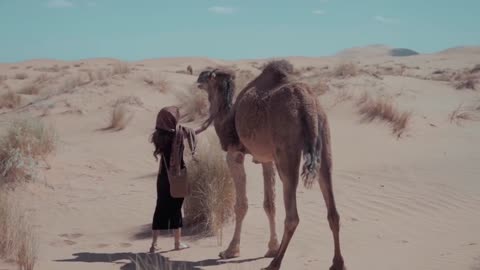 Woman and camel in Desert