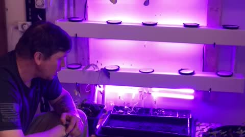 Hydroponics rail system